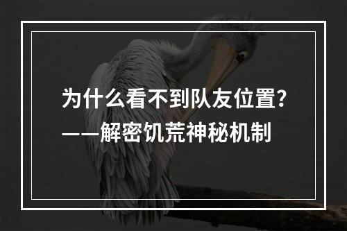 为什么看不到队友位置？——解密饥荒神秘机制