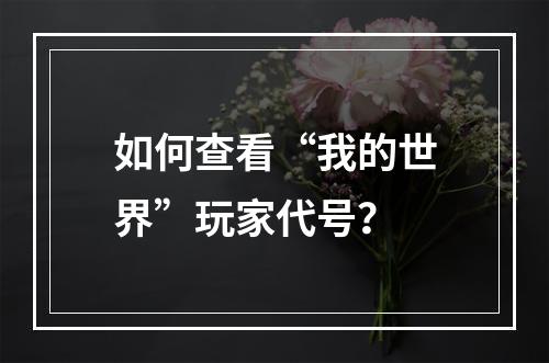 如何查看“我的世界”玩家代号？