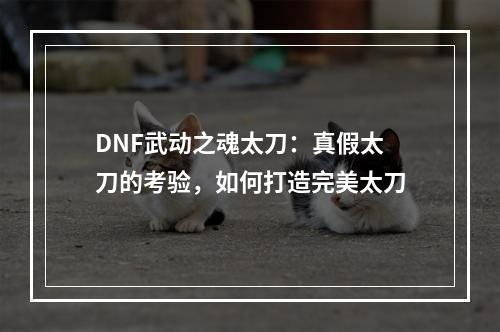 DNF武动之魂太刀：真假太刀的考验，如何打造完美太刀