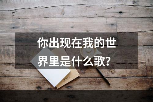 你出现在我的世界里是什么歌？