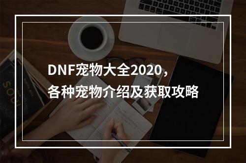 DNF宠物大全2020，各种宠物介绍及获取攻略