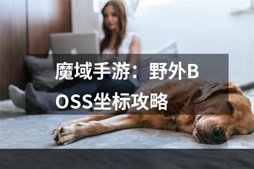 魔域手游：野外BOSS坐标攻略