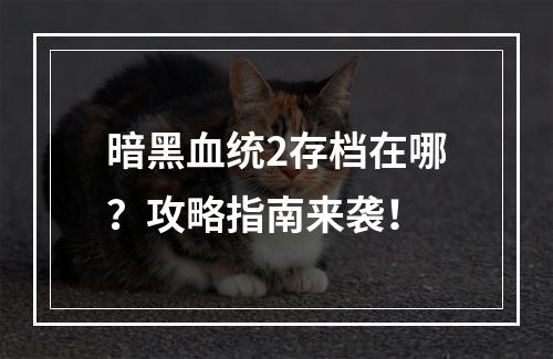 暗黑血统2存档在哪？攻略指南来袭！