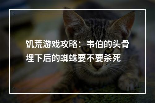 饥荒游戏攻略：韦伯的头骨埋下后的蜘蛛要不要杀死