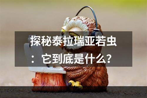 探秘泰拉瑞亚若虫：它到底是什么？