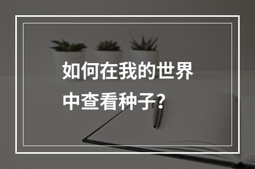 如何在我的世界中查看种子？