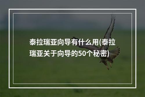 泰拉瑞亚向导有什么用(泰拉瑞亚关于向导的50个秘密)