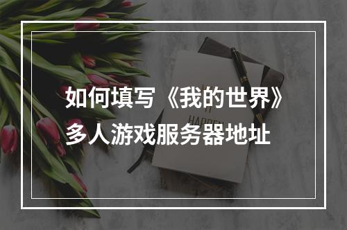 如何填写《我的世界》多人游戏服务器地址