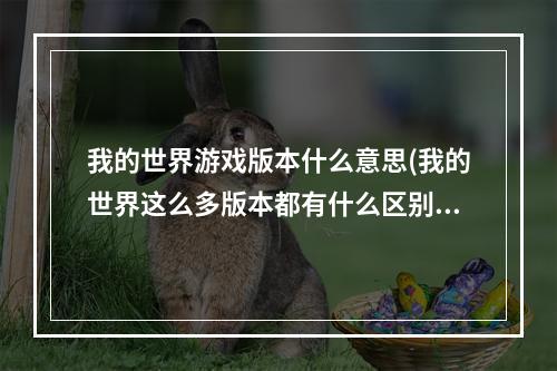 我的世界游戏版本什么意思(我的世界这么多版本都有什么区别)