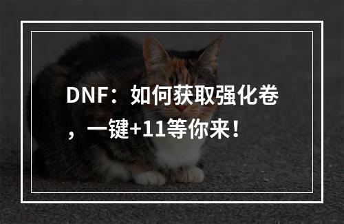 DNF：如何获取强化卷，一键+11等你来！