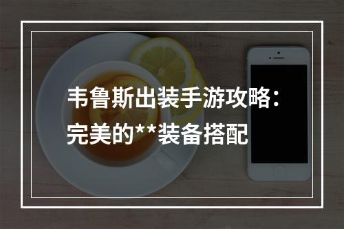 韦鲁斯出装手游攻略：完美的**装备搭配