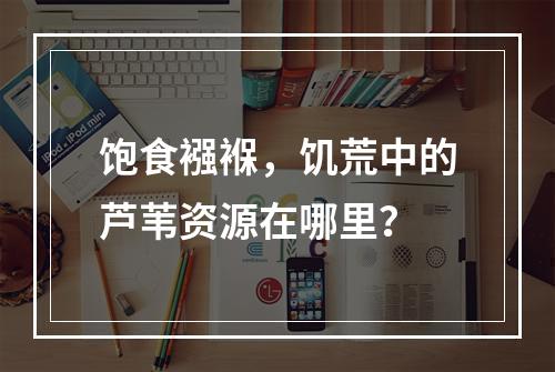 饱食襁褓，饥荒中的芦苇资源在哪里？