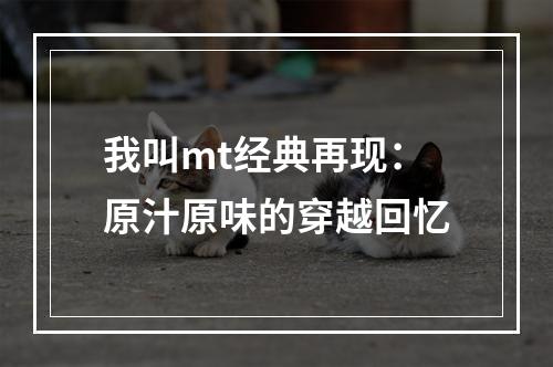 我叫mt经典再现：原汁原味的穿越回忆