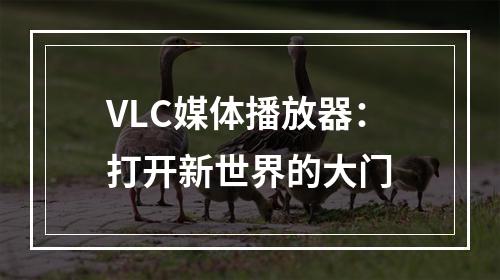 VLC媒体播放器：打开新世界的大门