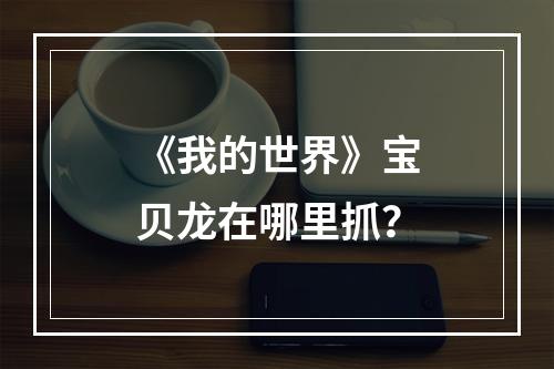 《我的世界》宝贝龙在哪里抓？