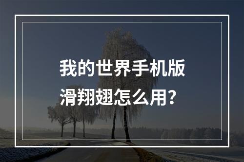 我的世界手机版滑翔翅怎么用？