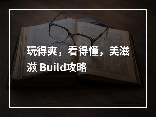 玩得爽，看得懂，美滋滋 Build攻略