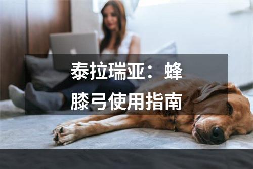 泰拉瑞亚：蜂膝弓使用指南