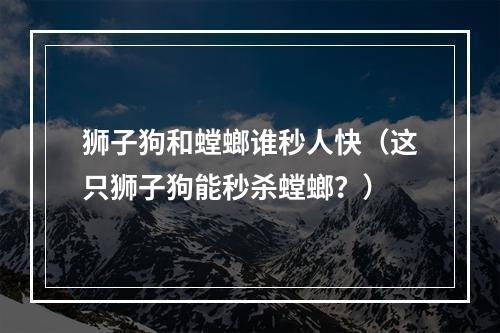 狮子狗和螳螂谁秒人快（这只狮子狗能秒杀螳螂？）