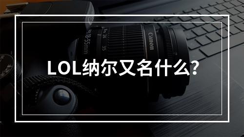 LOL纳尔又名什么？