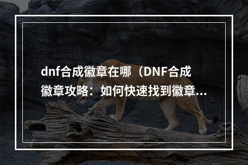 dnf合成徽章在哪（DNF合成徽章攻略：如何快速找到徽章合成NPC？）