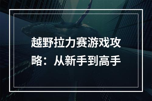 越野拉力赛游戏攻略：从新手到高手