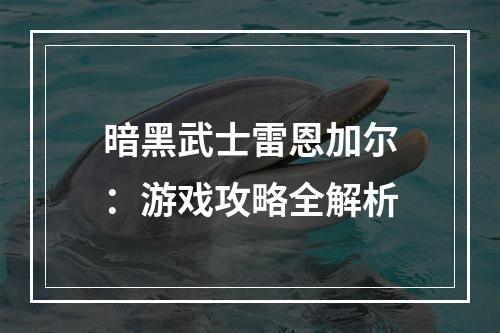 暗黑武士雷恩加尔：游戏攻略全解析