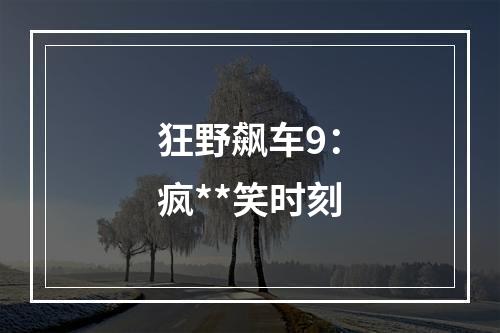 狂野飙车9：疯**笑时刻