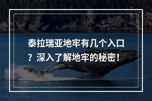 泰拉瑞亚地牢有几个入口？深入了解地牢的秘密！