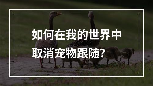 如何在我的世界中取消宠物跟随？