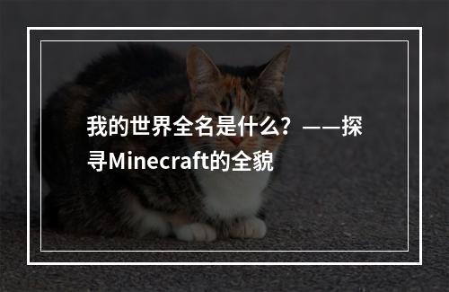 我的世界全名是什么？——探寻Minecraft的全貌