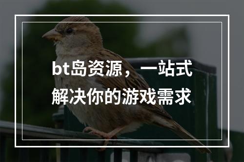 bt岛资源，一站式解决你的游戏需求