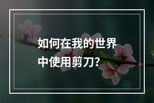 如何在我的世界中使用剪刀？