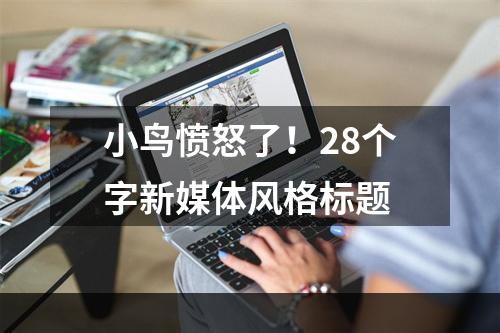 小鸟愤怒了！28个字新媒体风格标题