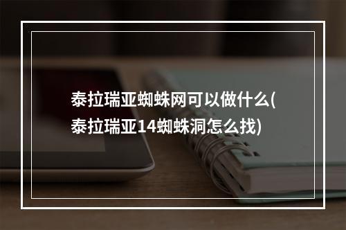 泰拉瑞亚蜘蛛网可以做什么(泰拉瑞亚14蜘蛛洞怎么找)