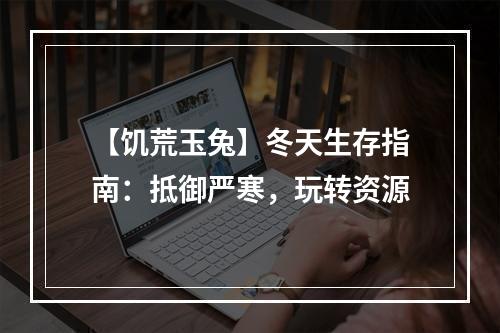 【饥荒玉兔】冬天生存指南：抵御严寒，玩转资源