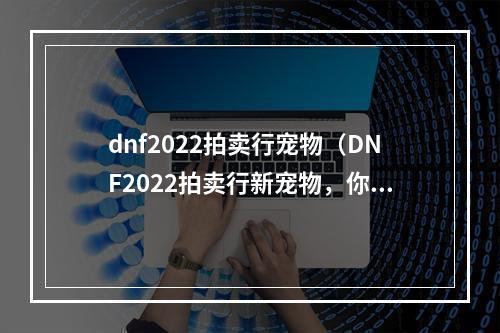 dnf2022拍卖行宠物（DNF2022拍卖行新宠物，你不可错过的三个原因）