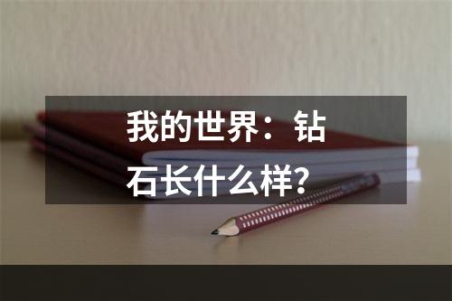 我的世界：钻石长什么样？