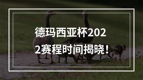 德玛西亚杯2022赛程时间揭晓！