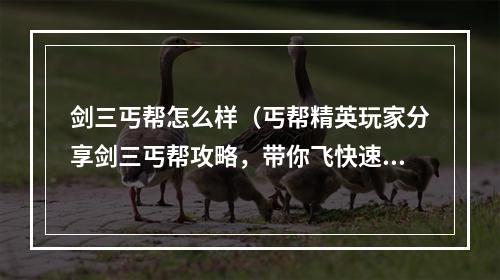 剑三丐帮怎么样（丐帮精英玩家分享剑三丐帮攻略，带你飞快速升级！）