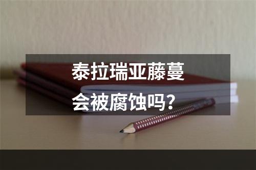 泰拉瑞亚藤蔓会被腐蚀吗？