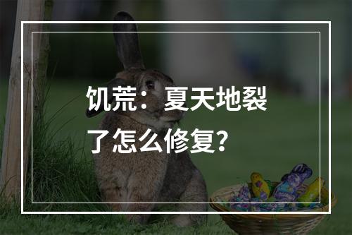 饥荒：夏天地裂了怎么修复？