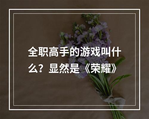 全职高手的游戏叫什么？显然是《荣耀》