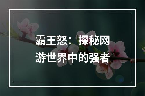 霸王怒：探秘网游世界中的强者