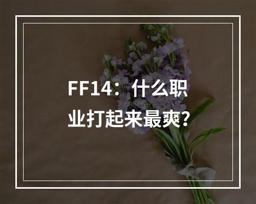 FF14：什么职业打起来最爽？