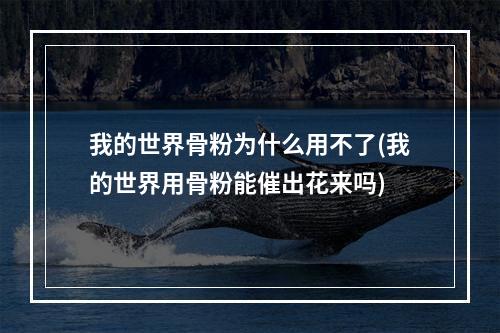 我的世界骨粉为什么用不了(我的世界用骨粉能催出花来吗)