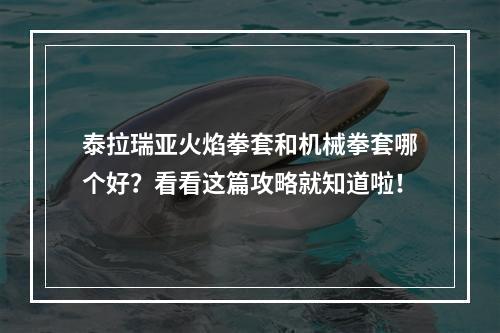 泰拉瑞亚火焰拳套和机械拳套哪个好？看看这篇攻略就知道啦！