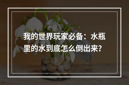 我的世界玩家必备：水瓶里的水到底怎么倒出来？