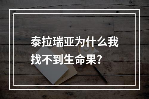 泰拉瑞亚为什么我找不到生命果？