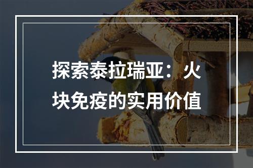 探索泰拉瑞亚：火块免疫的实用价值